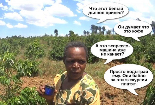 Мемы про плантации