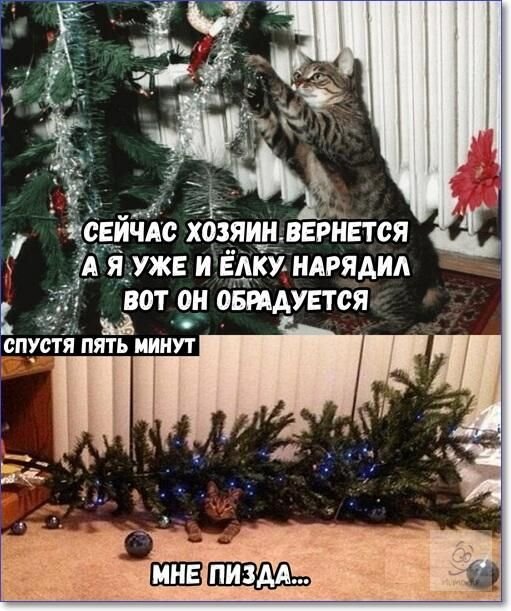 А вы уже нарядили елку