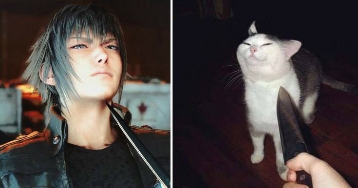 Котенок с ножом