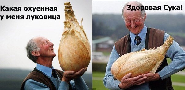 Большая луковица Мем
