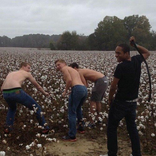 Негры в поле