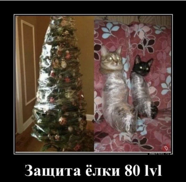 Кот и елка приколы