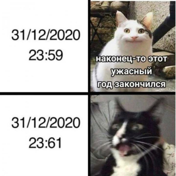 Мемы приколы 2020