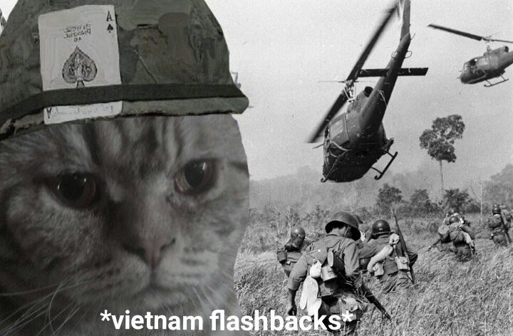 Вьетнамская война флешбек