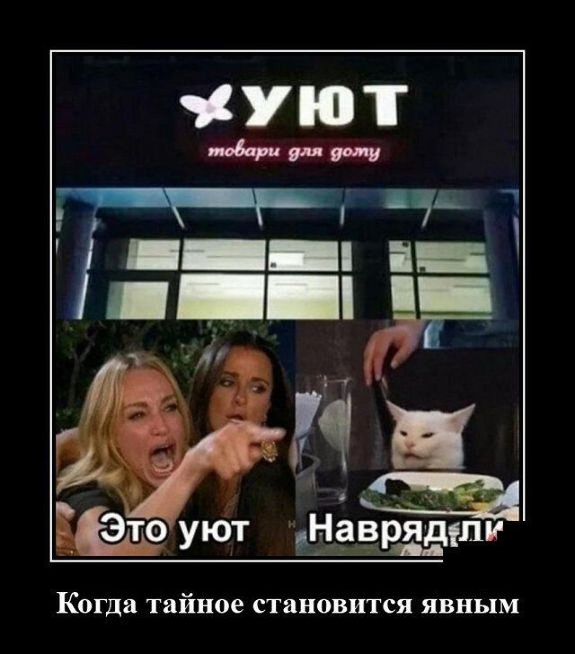 Мемы с котом и девушками с вывесками