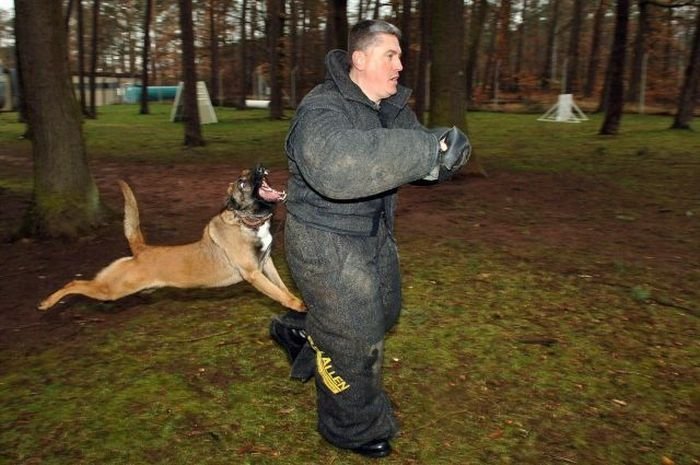 Кинолог и собака смешные