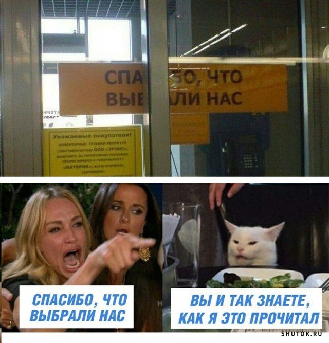 Мем с котом и девушками за столом