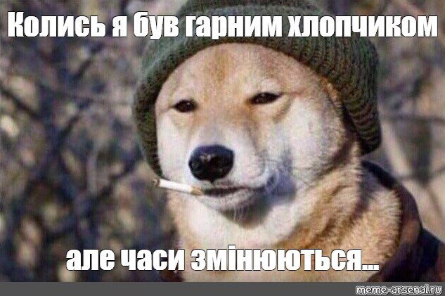 Собака в шапке с сигаретой