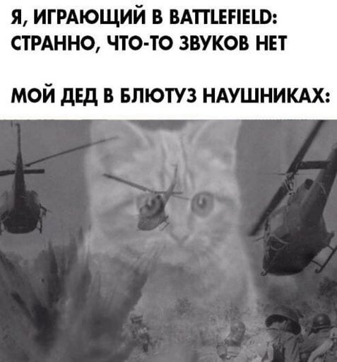 Кот флешбеки Мем