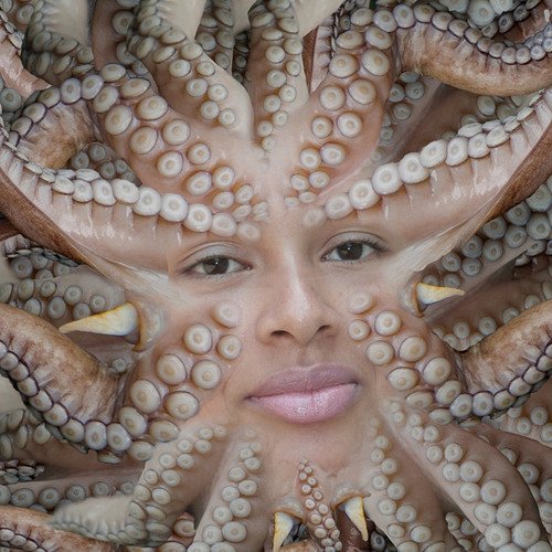 Огромный осьминог