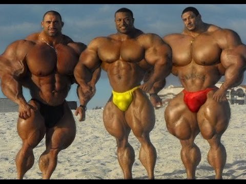 Самый большой бодибилдер