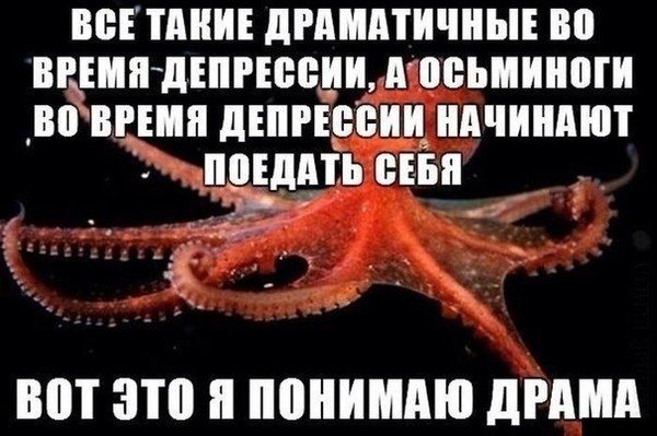 Шутка про осьминога