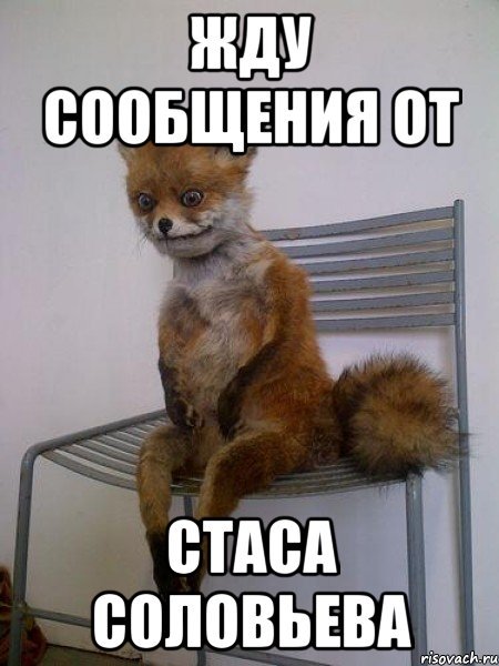 40 лет мужик