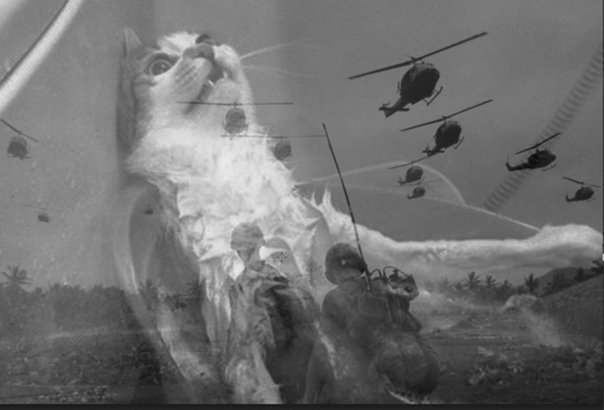 Вьетнам война флешбеки