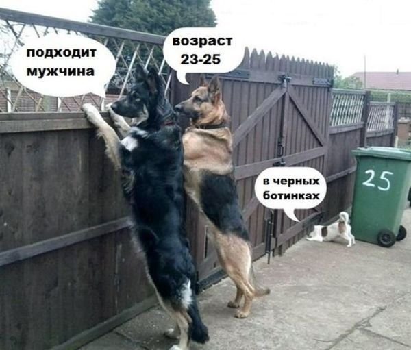 Кинолог с собакой