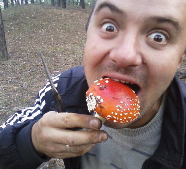 Ест мухомор