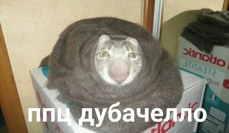 Смешные картинки