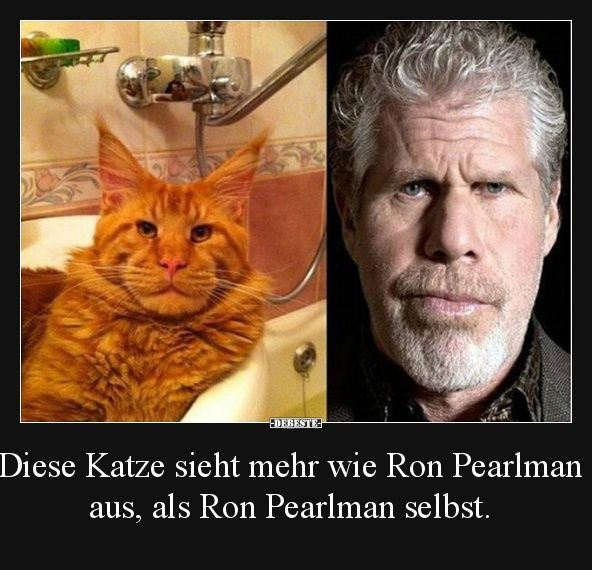 Рон Перлман кот