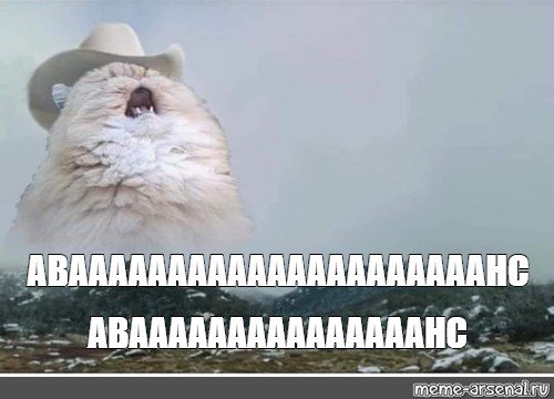 Кот орет в горах Мем