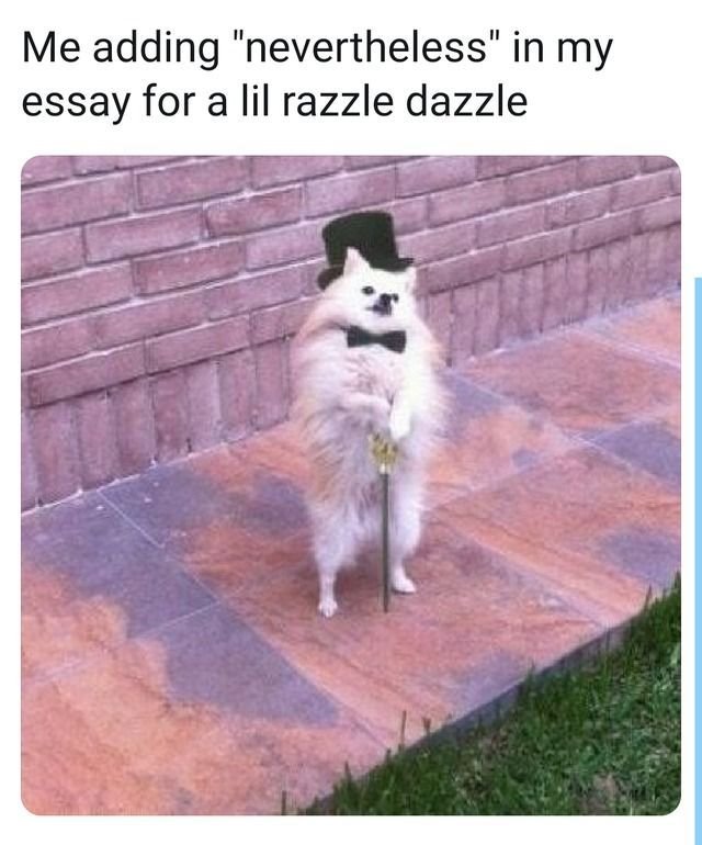 Мемы Аристократ