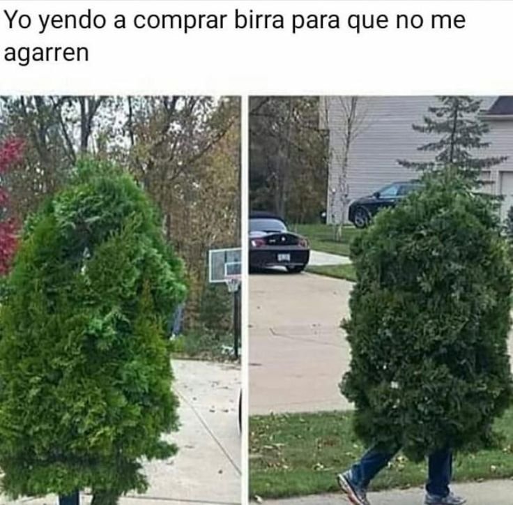 Куст в форме человека