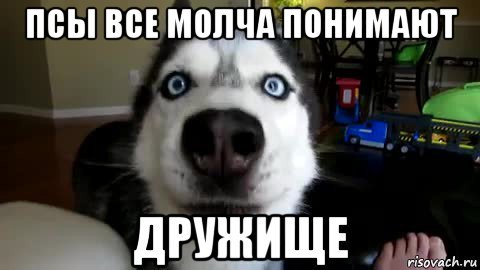 Молчит собака