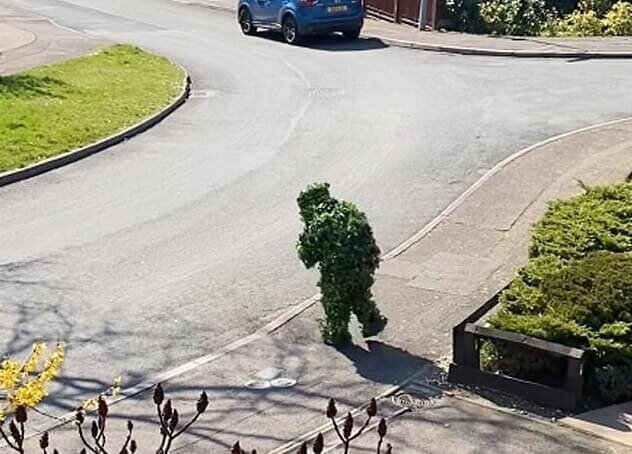 Маскировка куст