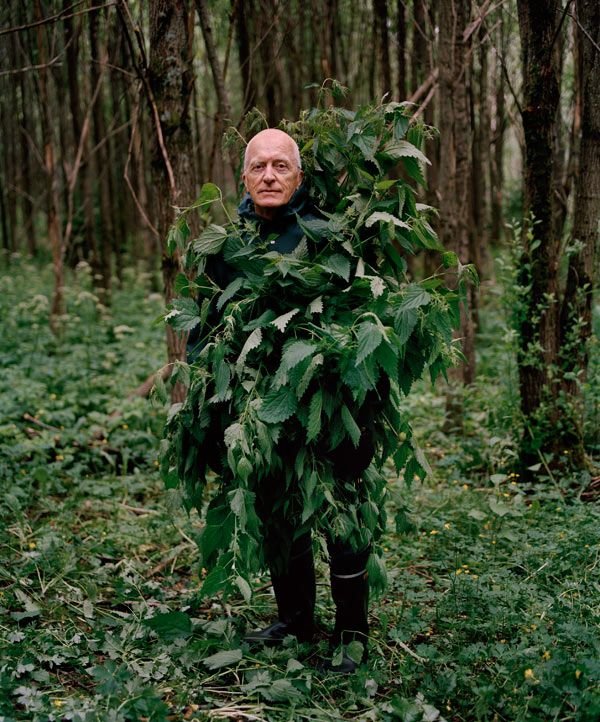 Прячется в кустах