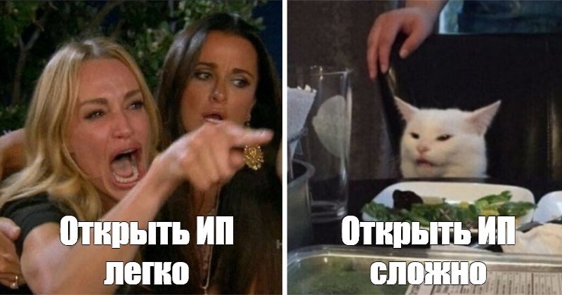 Мем с котом и двумя женщинами