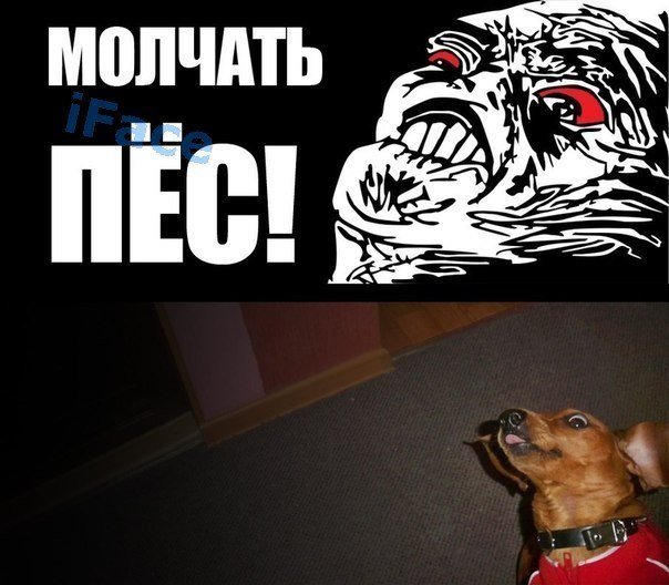 Молчать псина