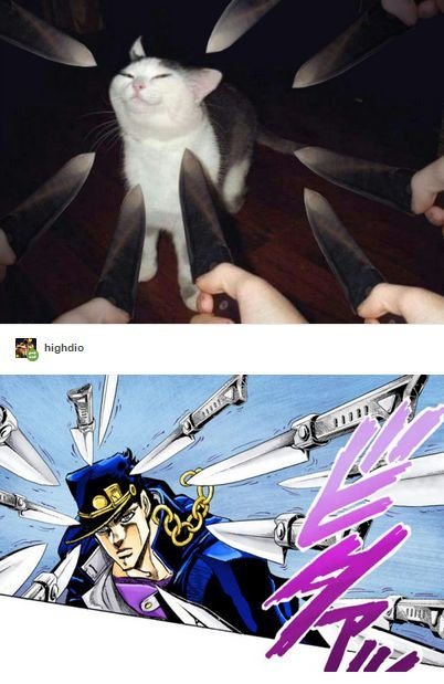 Кот с ножом Мем