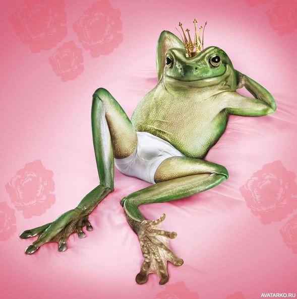 Прикольный Лягушонок
