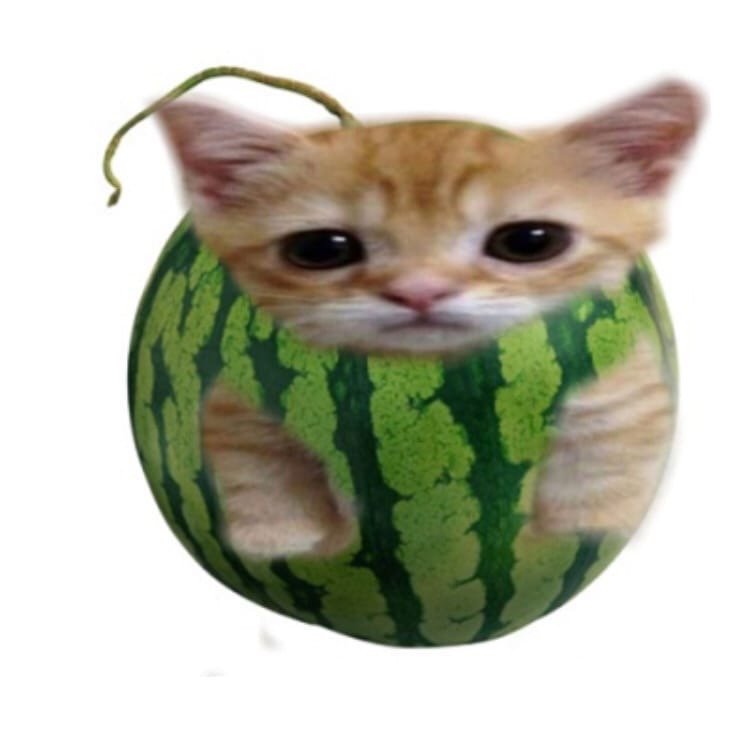 Кот и овощи