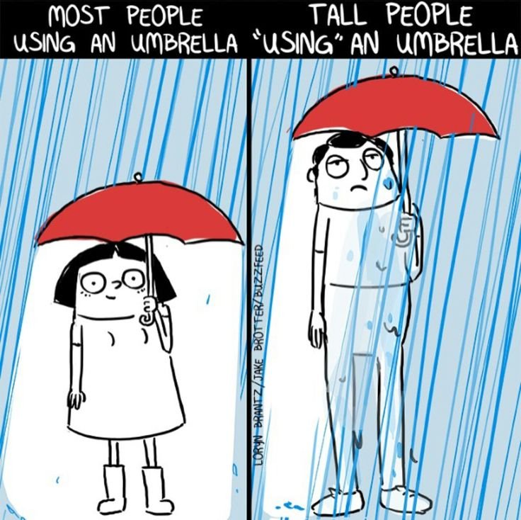 Зонтик Мем