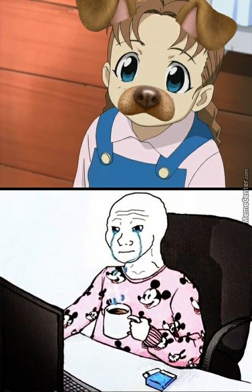 Нина стальной алхимик Мем