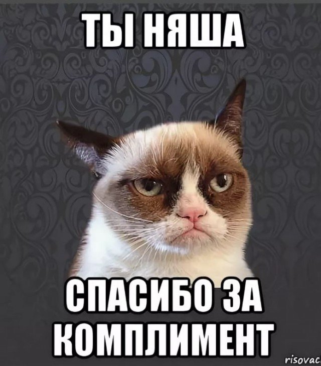 Мемы комплименты
