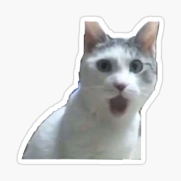 Удивленный кот Мем