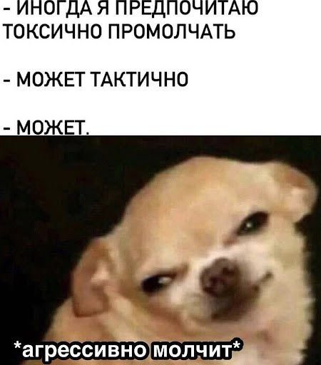 Мем с чихуахуа и тенью