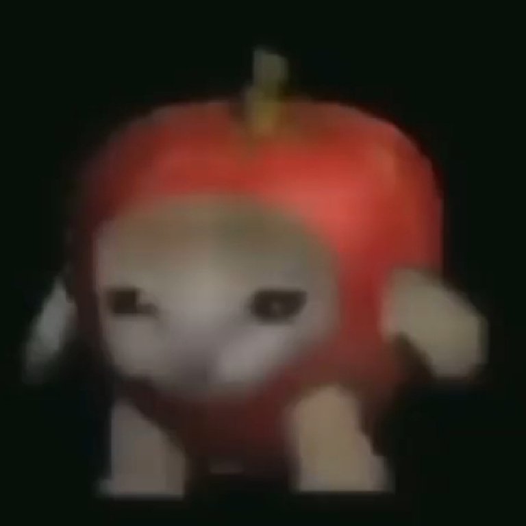 Кот в костюме яблока