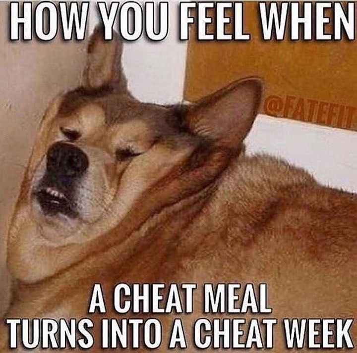 Упоротый щенок