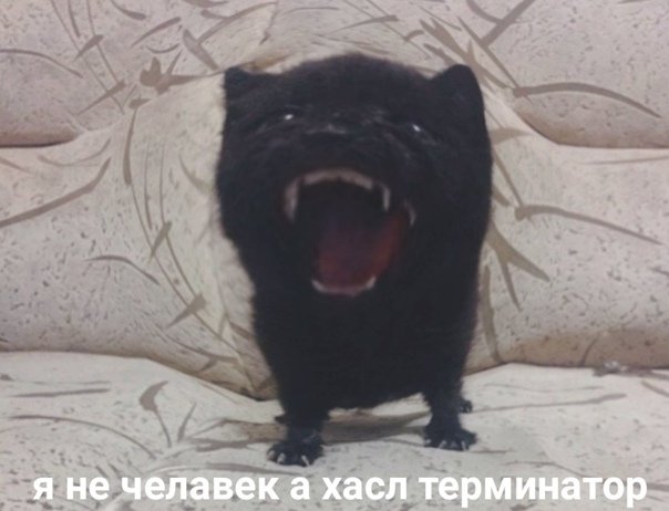 Я не человек я зверь