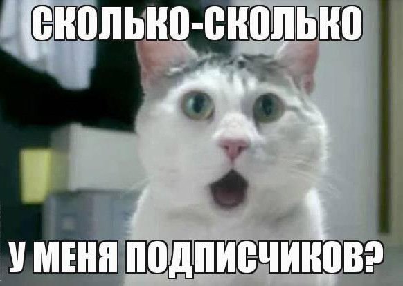 Кот удивляется