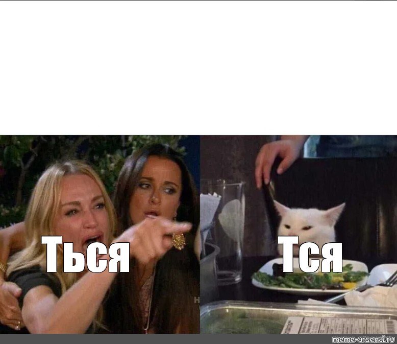 Мем кот и две девушки