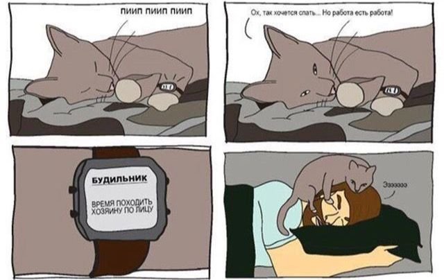 Комикс просыпается