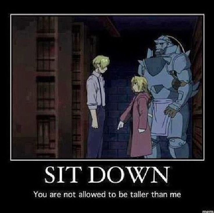 Приколы по стальному алхимику