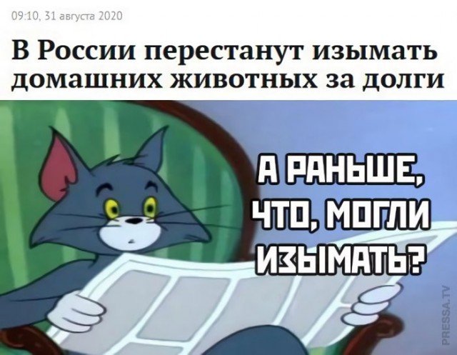 Кот том с газетой Мем