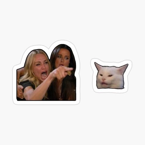 Мем кот и две девушки