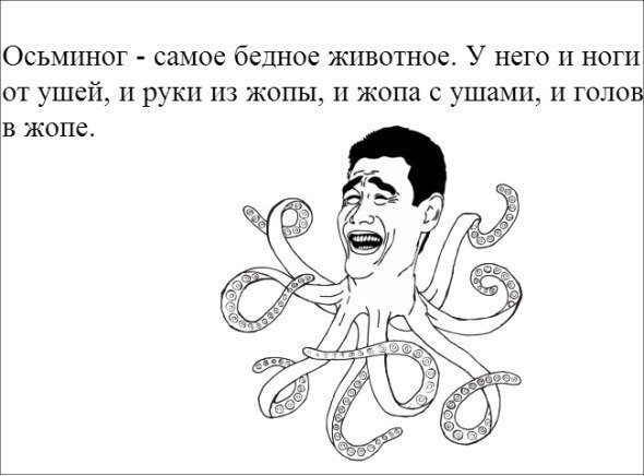 Мемы с осьминогами