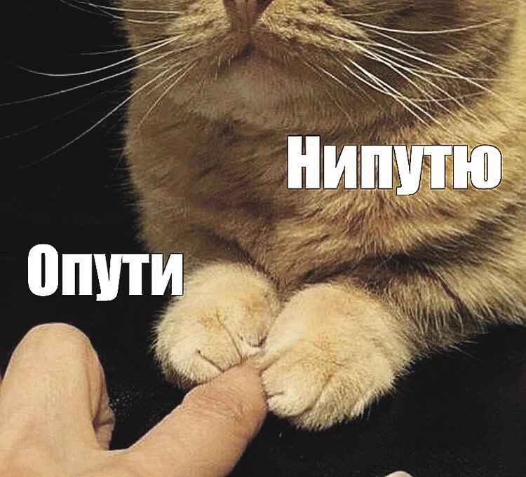 Опути НЕПУТЮ