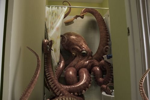 Осьминог прикол